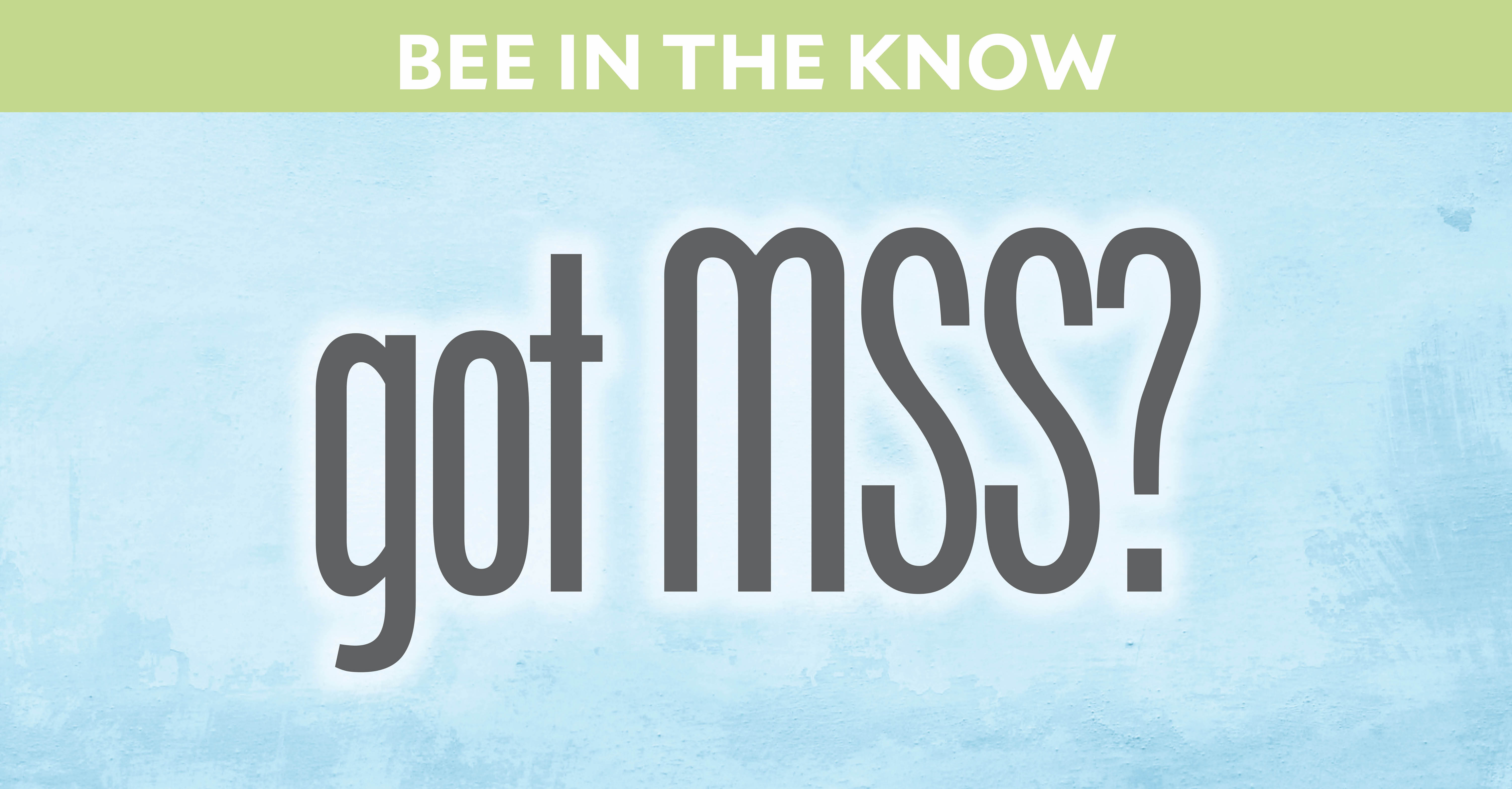 Bee in the Know Hero: "Got MSS?"