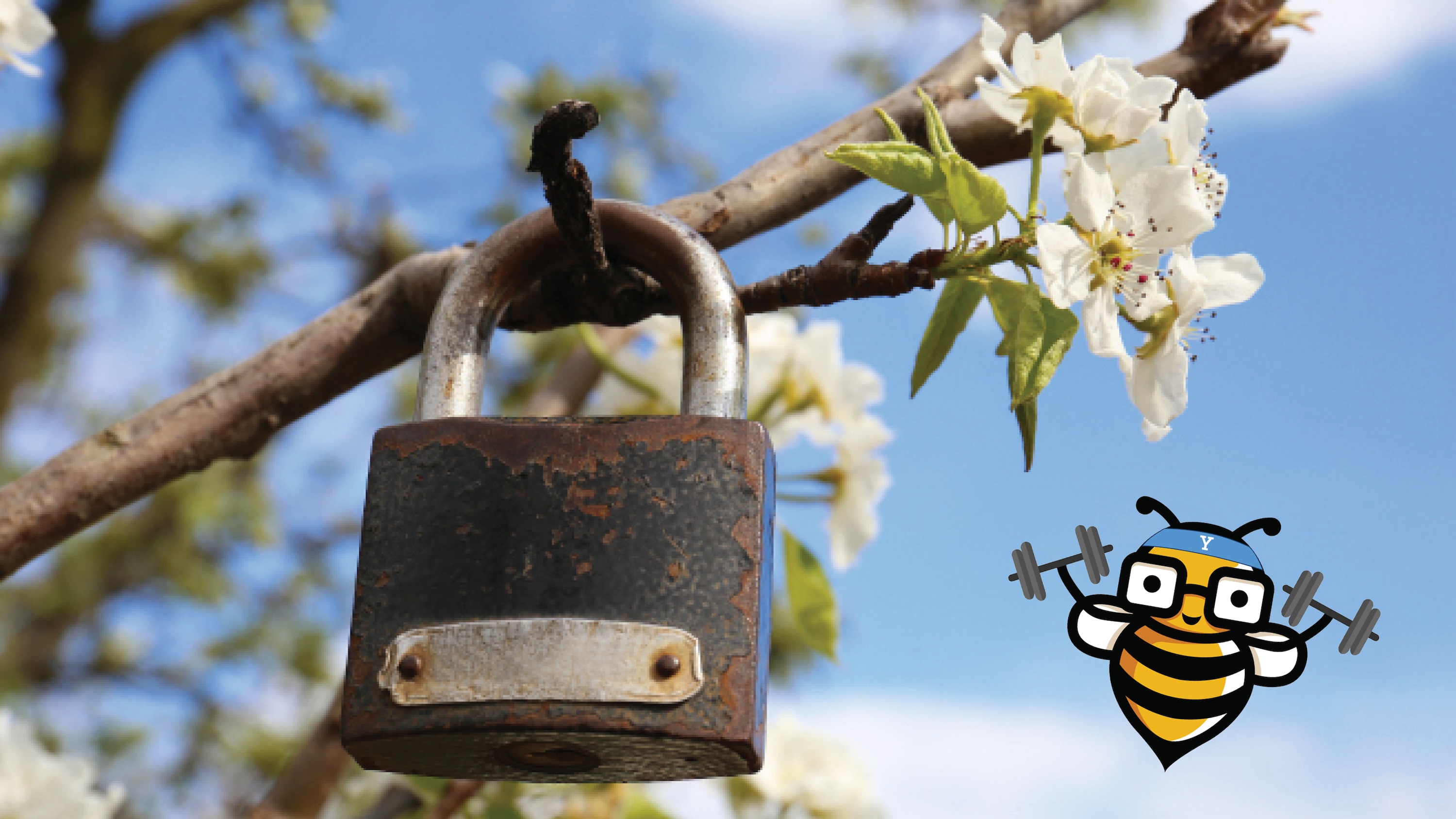 Padlock on a flowering tree branch with Bee Cyber FIt bee logo
