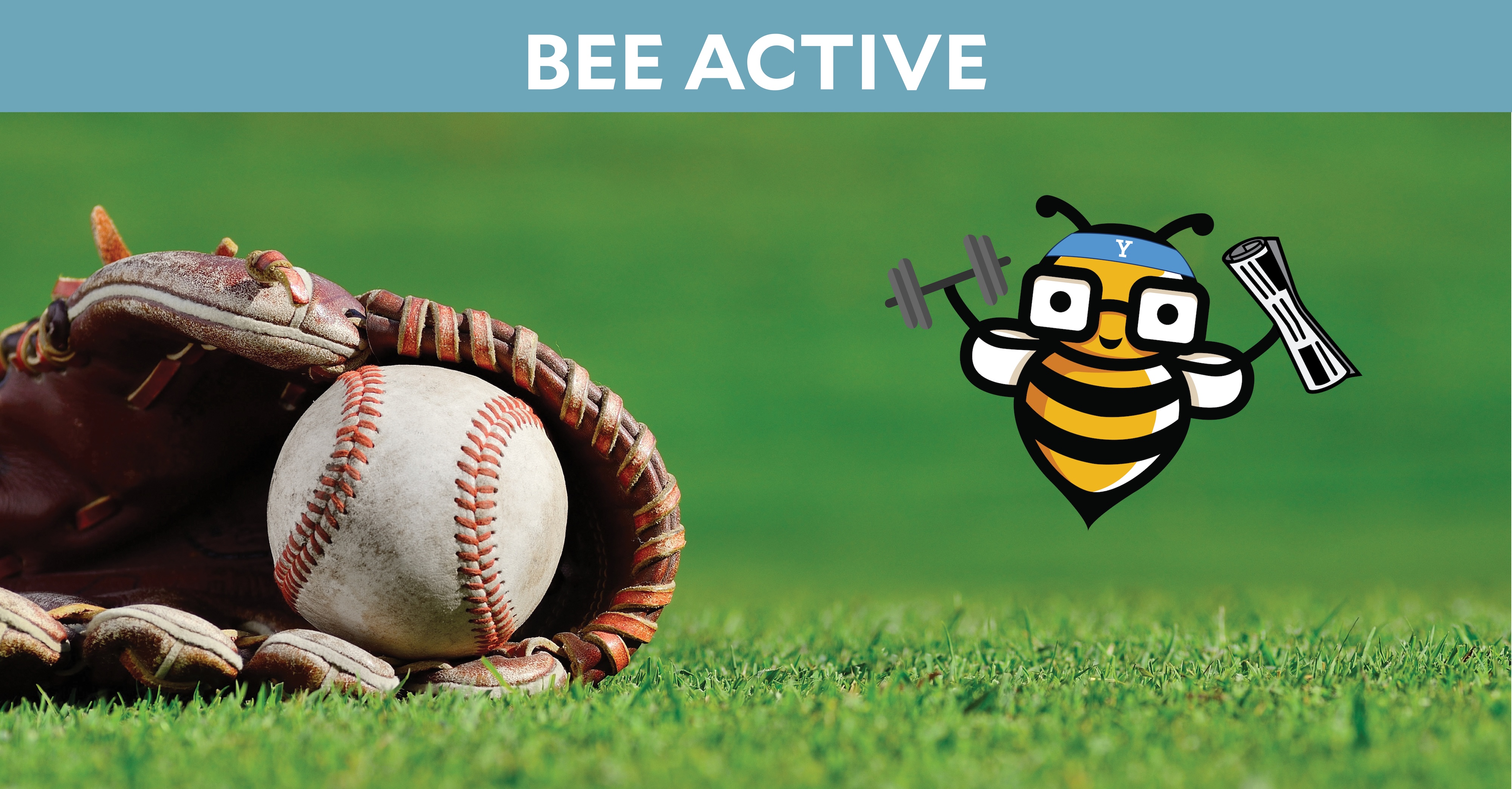 Bee Active: Baseball in a mitt lying in the grass with the Bee Cyber Fit Newsletter bee logo