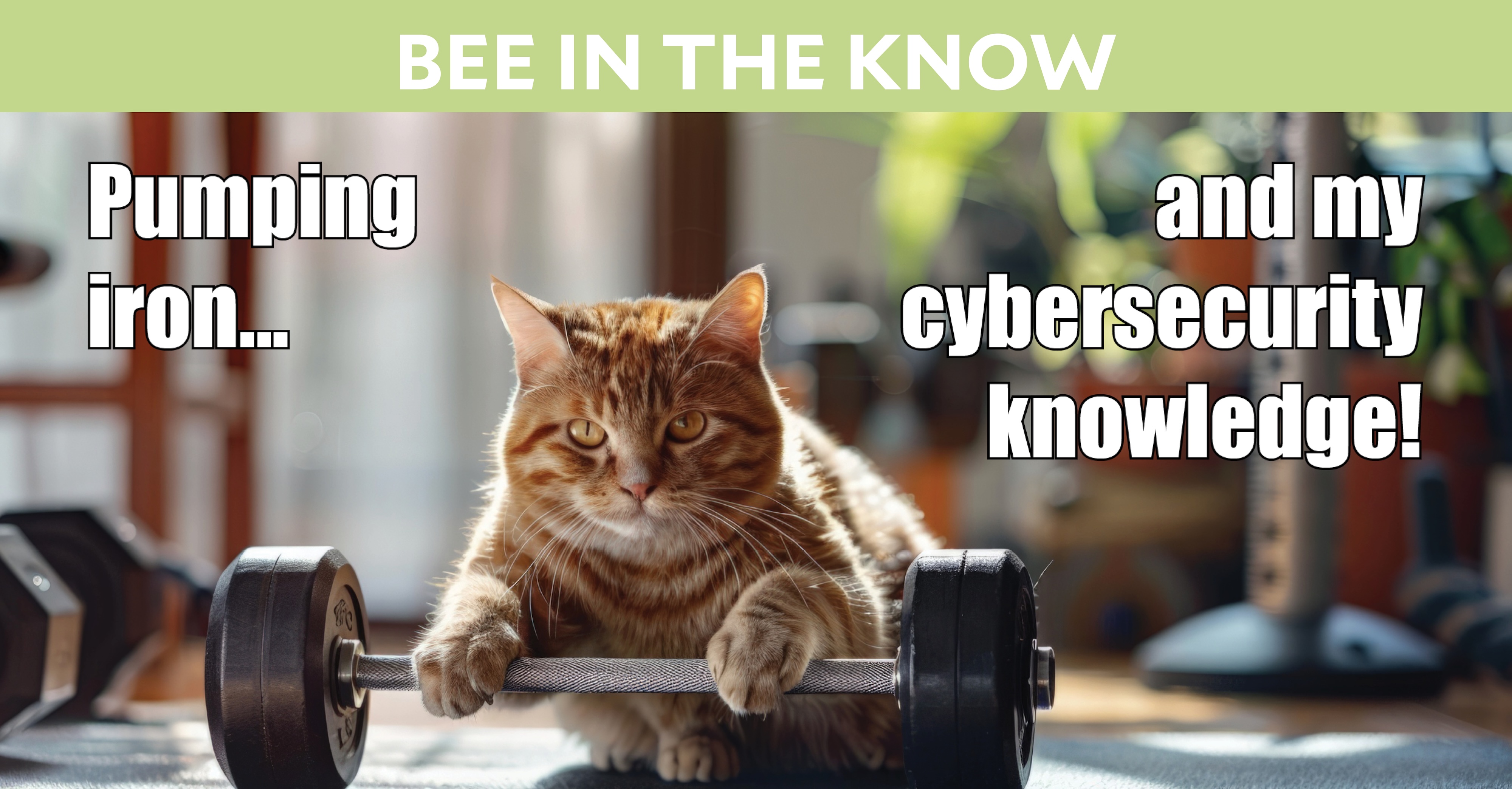 Bee in the Know: Meme of a cat with a dumbbell and the text "Pumping iron... and my cybersecurity knowledge".
