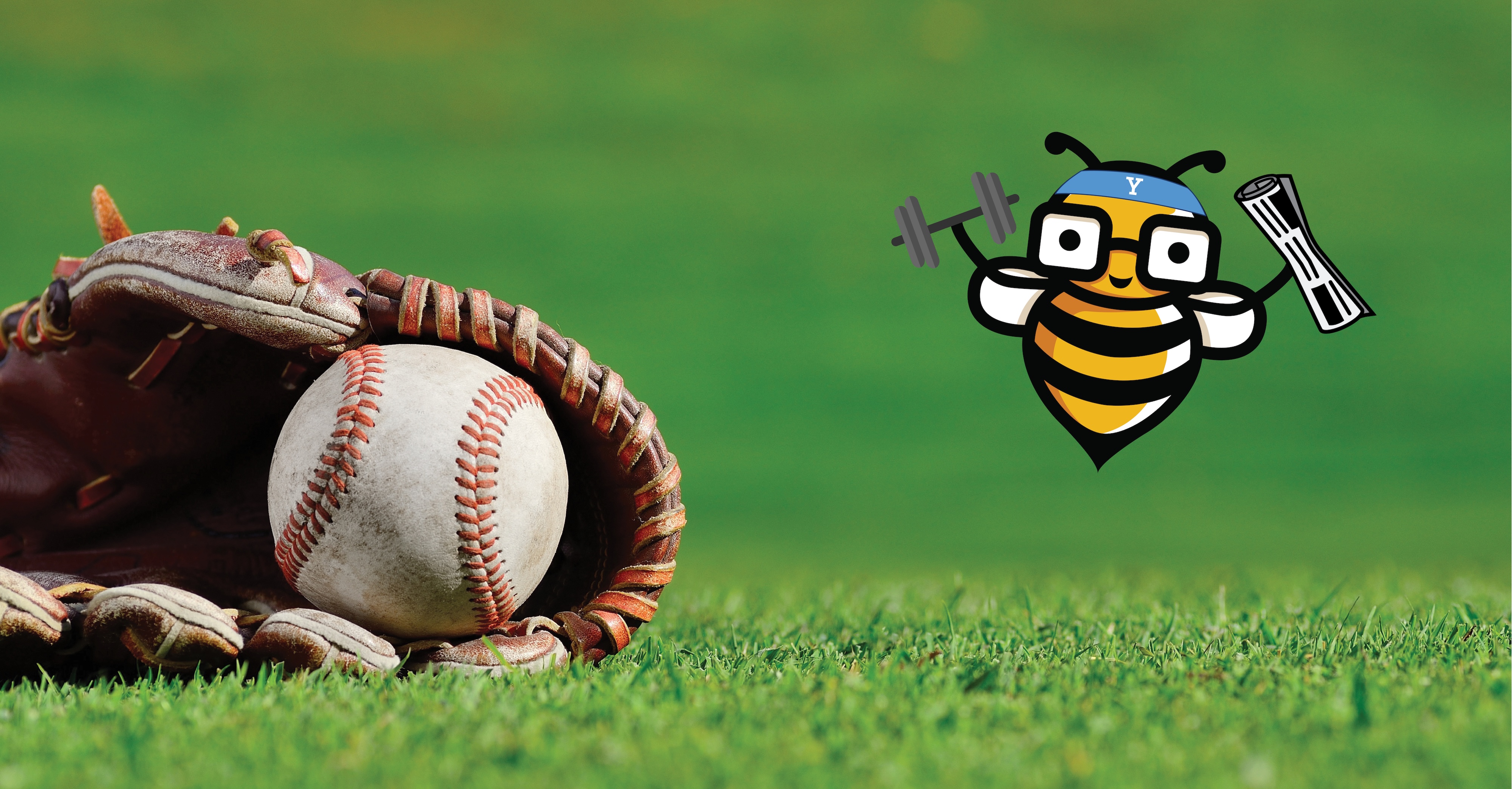 Baseball in a mitt lying in the grass with the Bee Cyber Fit Newsletter bee logo