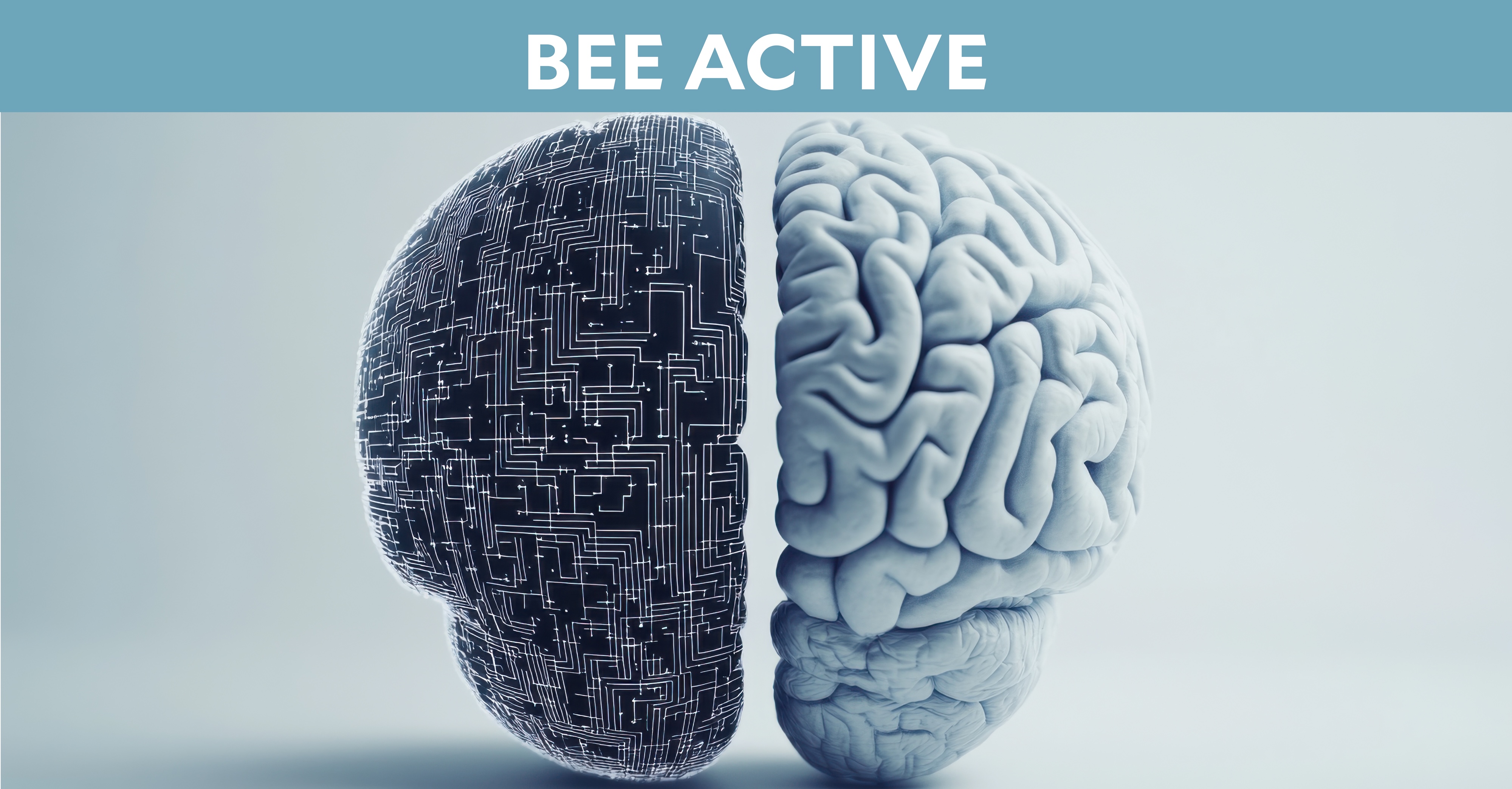 Bee Active Hero: A model of a brain - one side depicted as circuitry the other as human