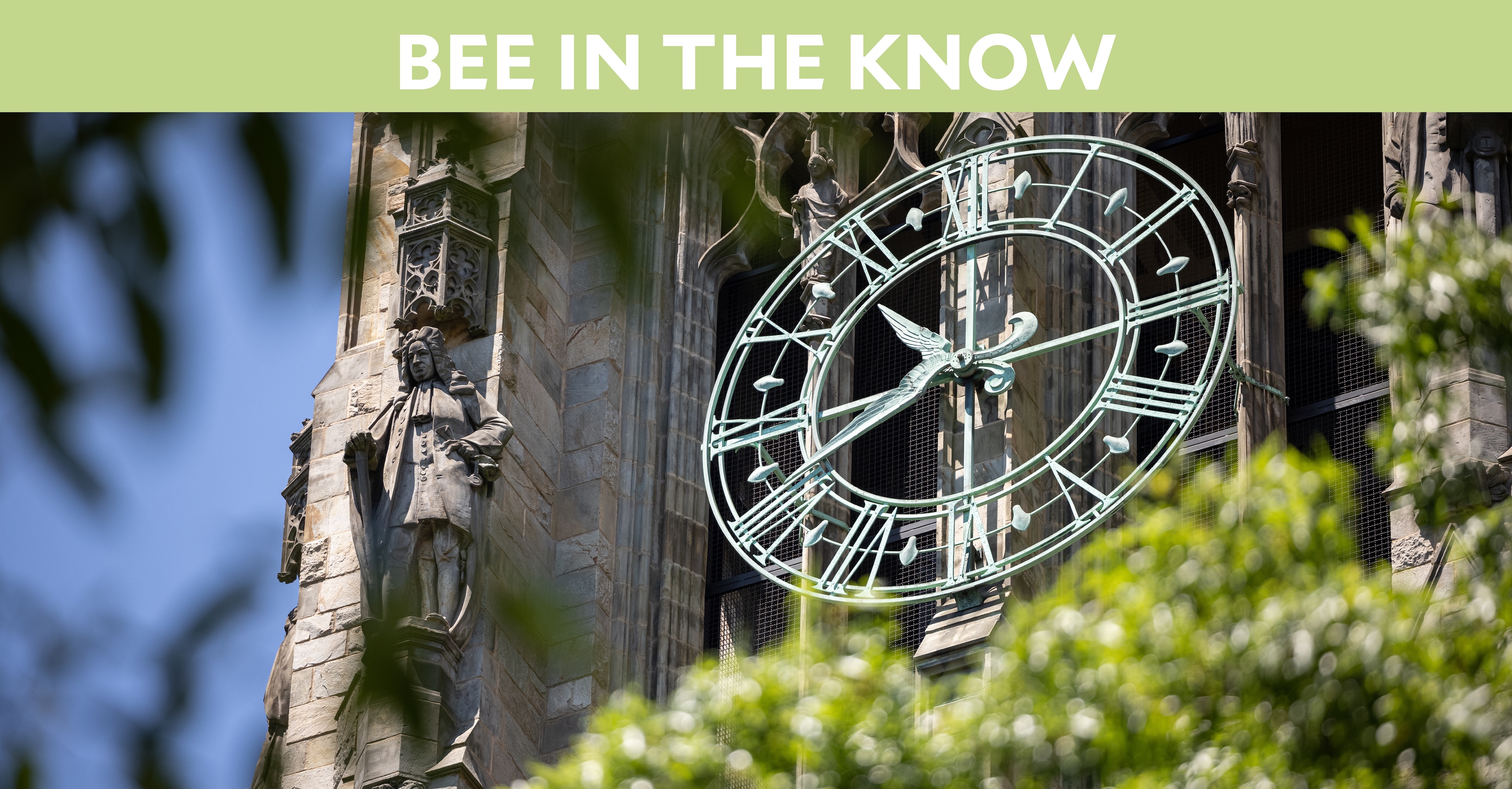 Bee in the Know Hero: Harkness Tower clock