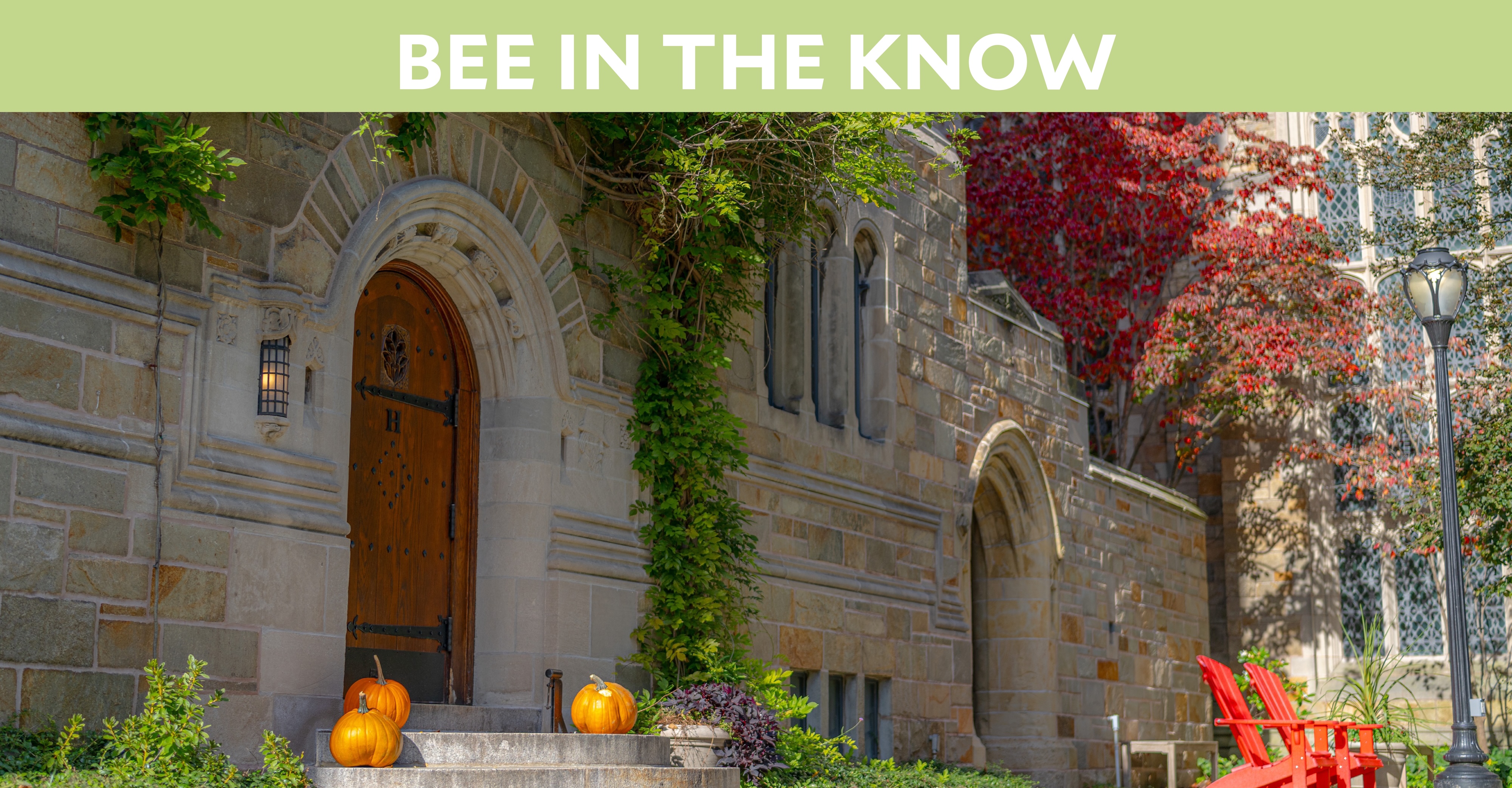 Bee in the Know: Yale campus with fall foliage and pumpkins