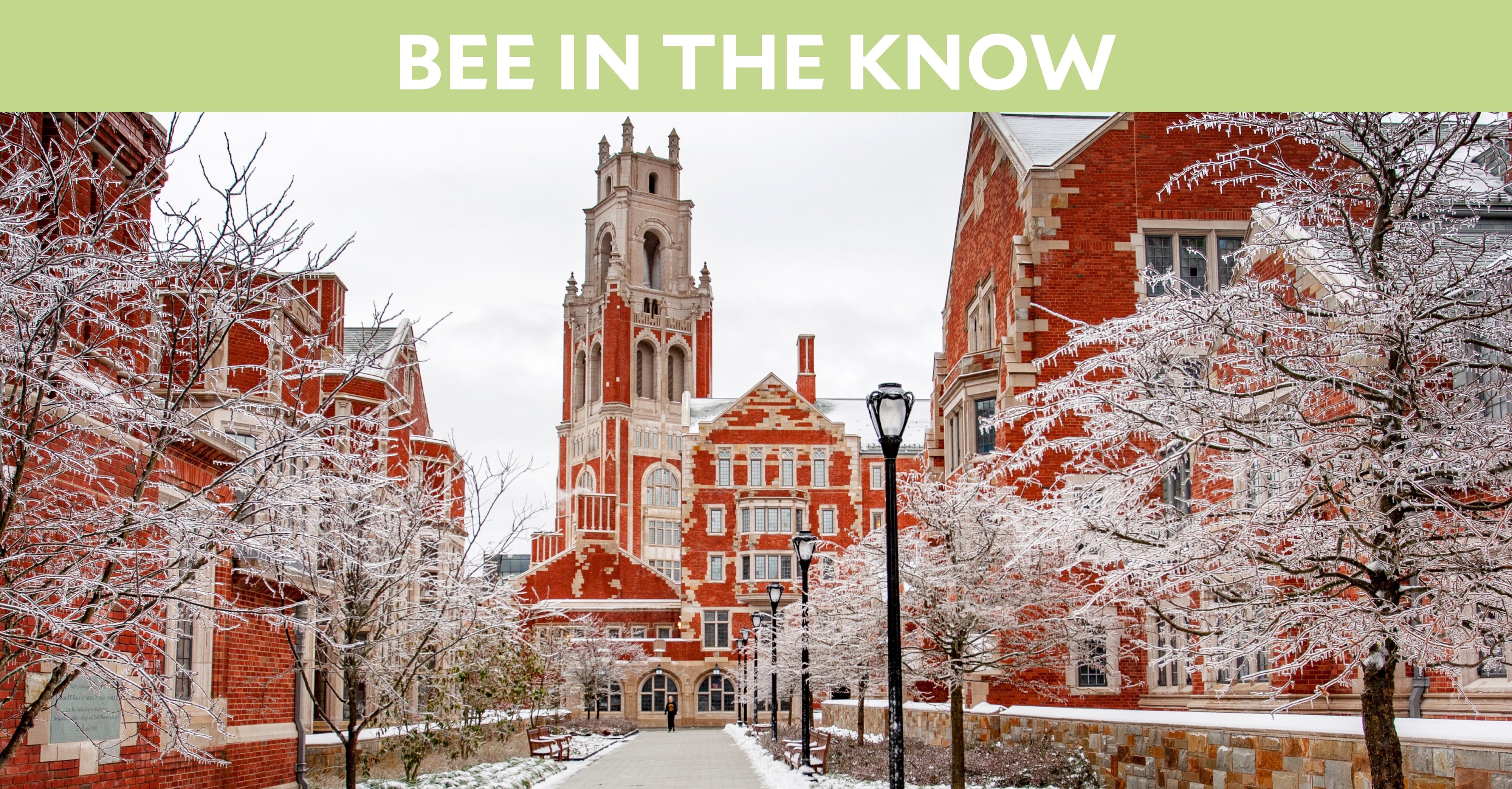 Bee in the Know: Photo of Franklin College in the snow