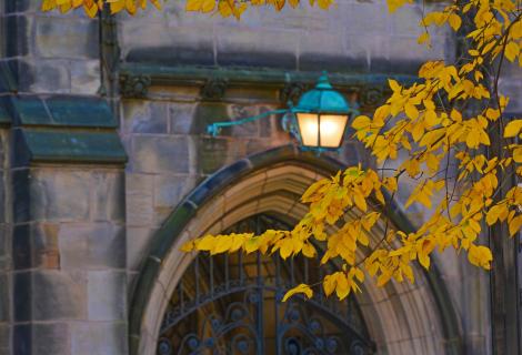 Yale archway with lamp and tree limb with fall-colored leaves