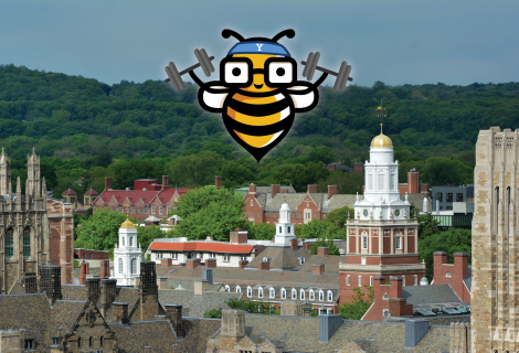 Bee over Yale 600x315