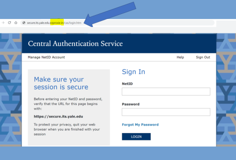 Screenshot of fraudulent CAS login screen using an invalid URL